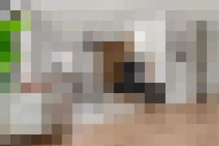 Staai 17 Grevenbicht thumbnail 7