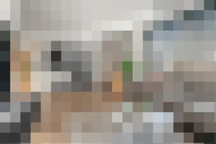Staai 17 Grevenbicht thumbnail 8