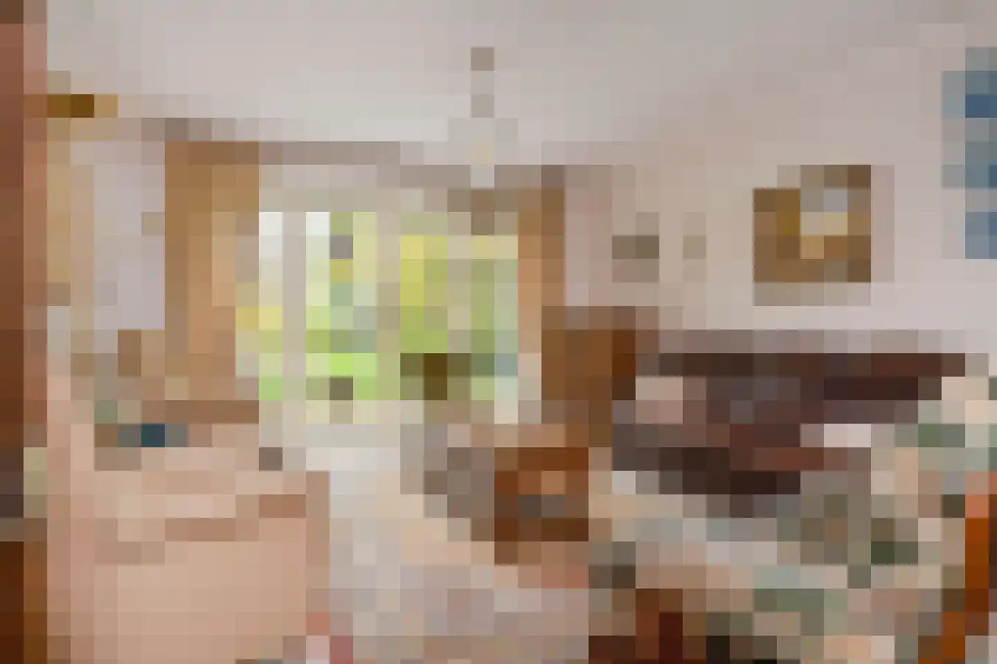 Staai 3 Grevenbicht thumbnail 11