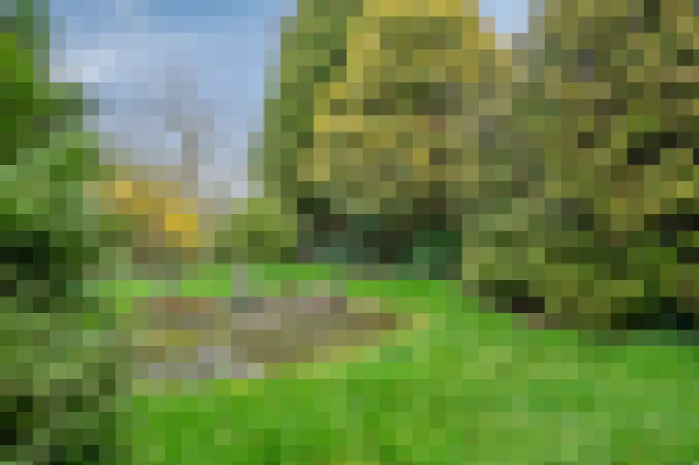 Staai 3 Grevenbicht thumbnail 23
