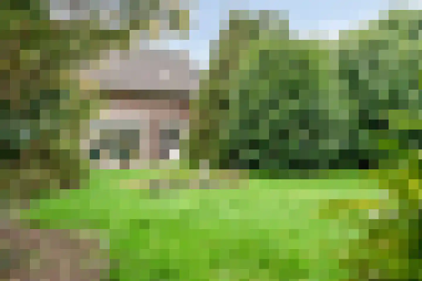 Staai 3 Grevenbicht thumbnail 25