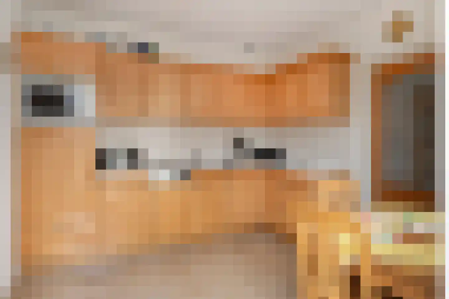 Staai 3 Grevenbicht foto 3