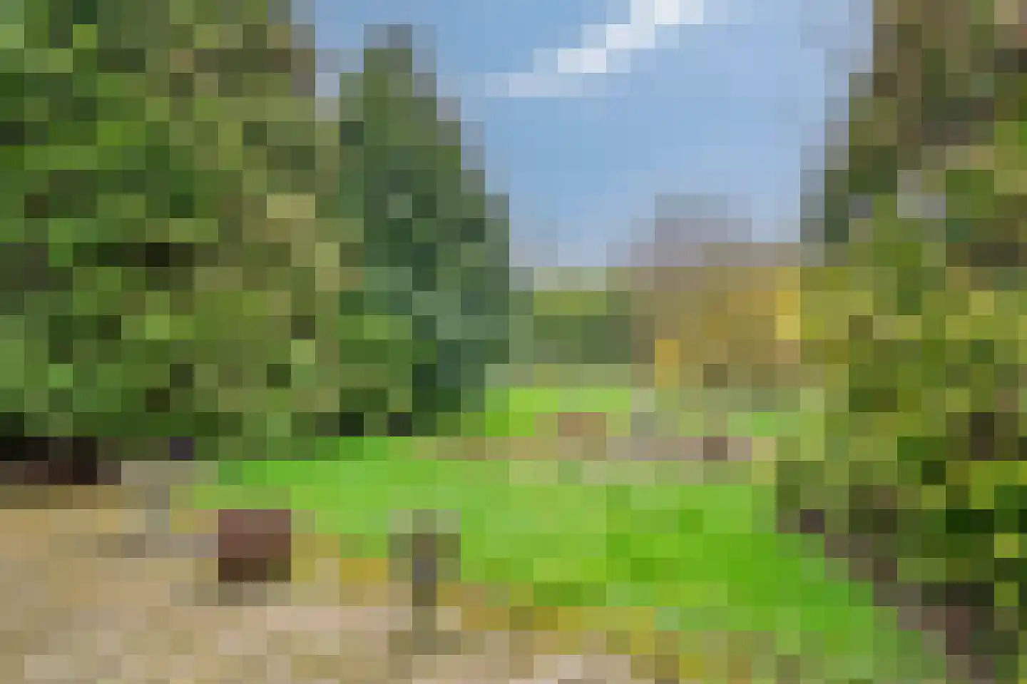 Staai 3 Grevenbicht thumbnail 4