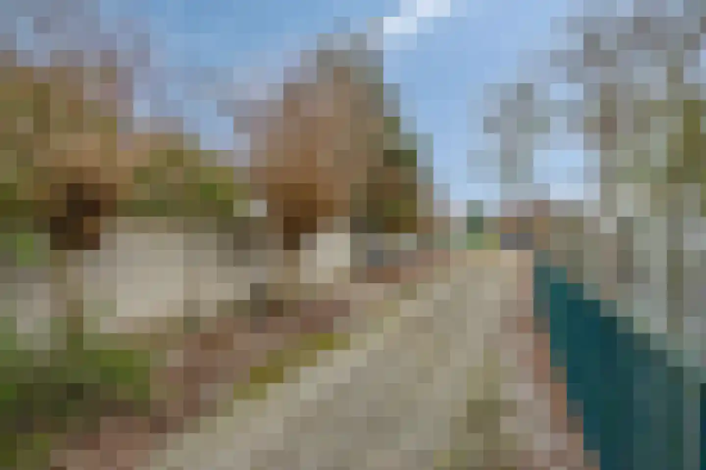 Staai 3 Grevenbicht thumbnail 7