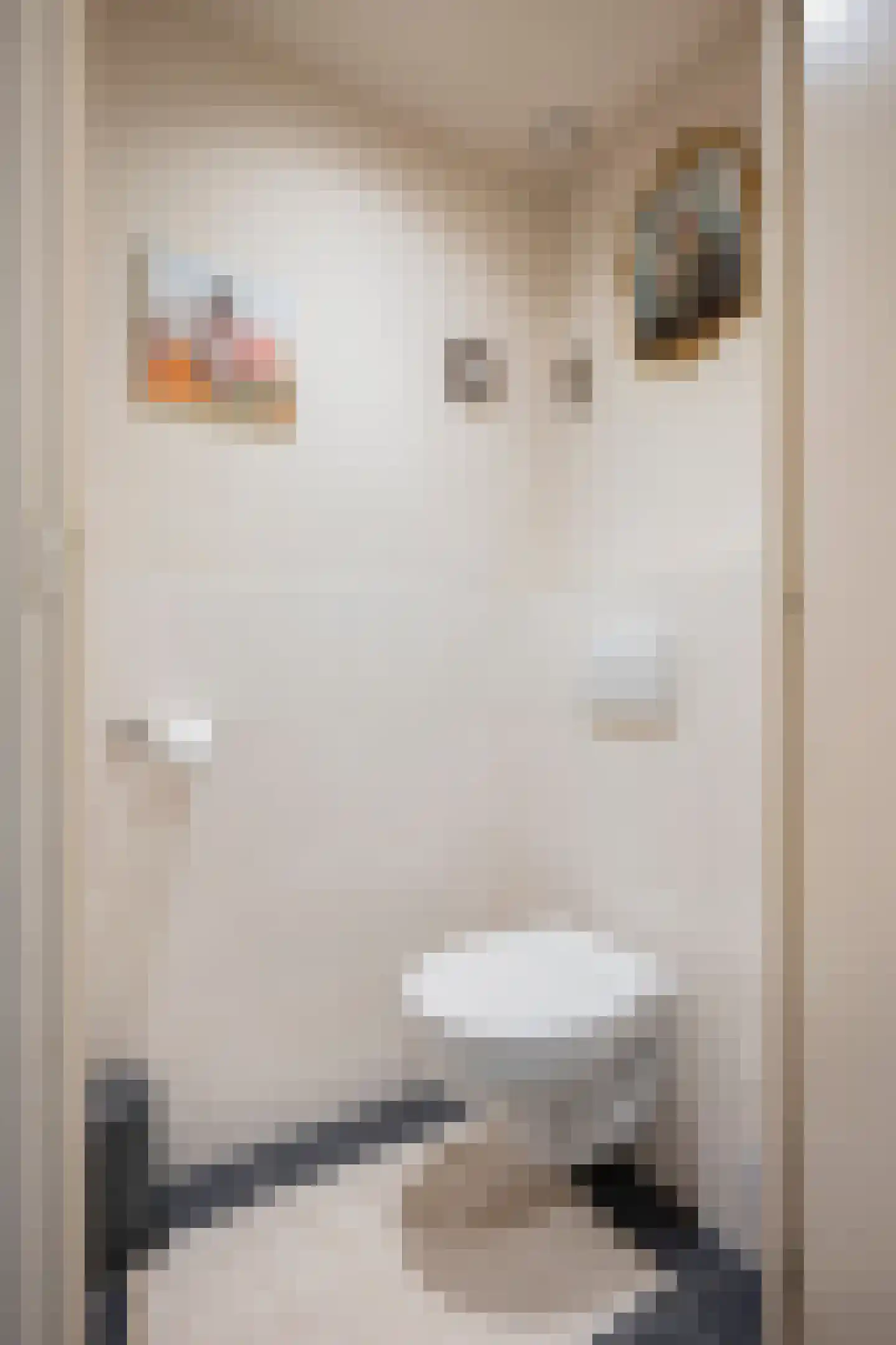 Staai 33 Grevenbicht thumbnail 22