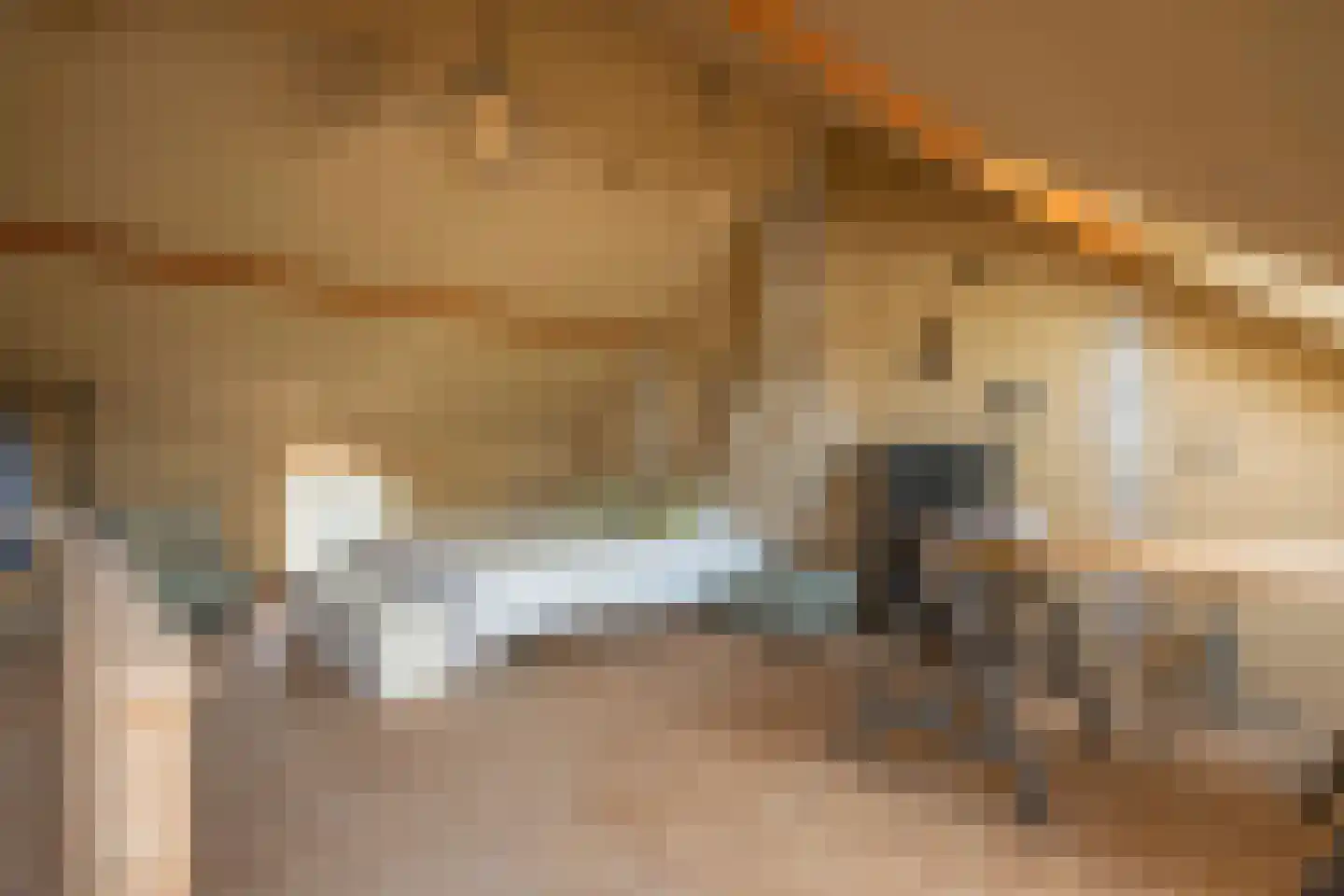Staai 33 Grevenbicht thumbnail 23