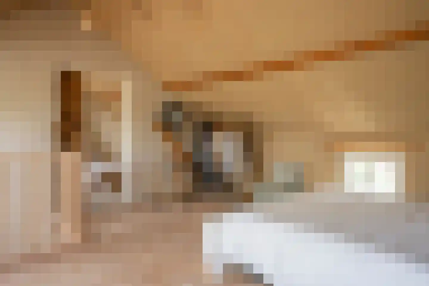 Staai 33 Grevenbicht thumbnail 25