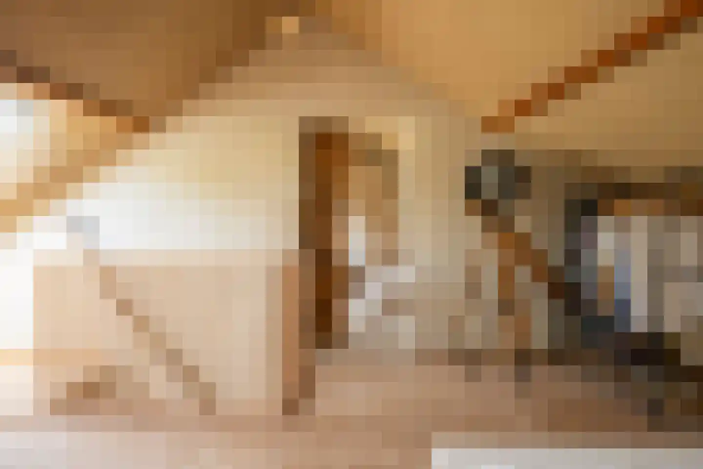 Staai 33 Grevenbicht thumbnail 26