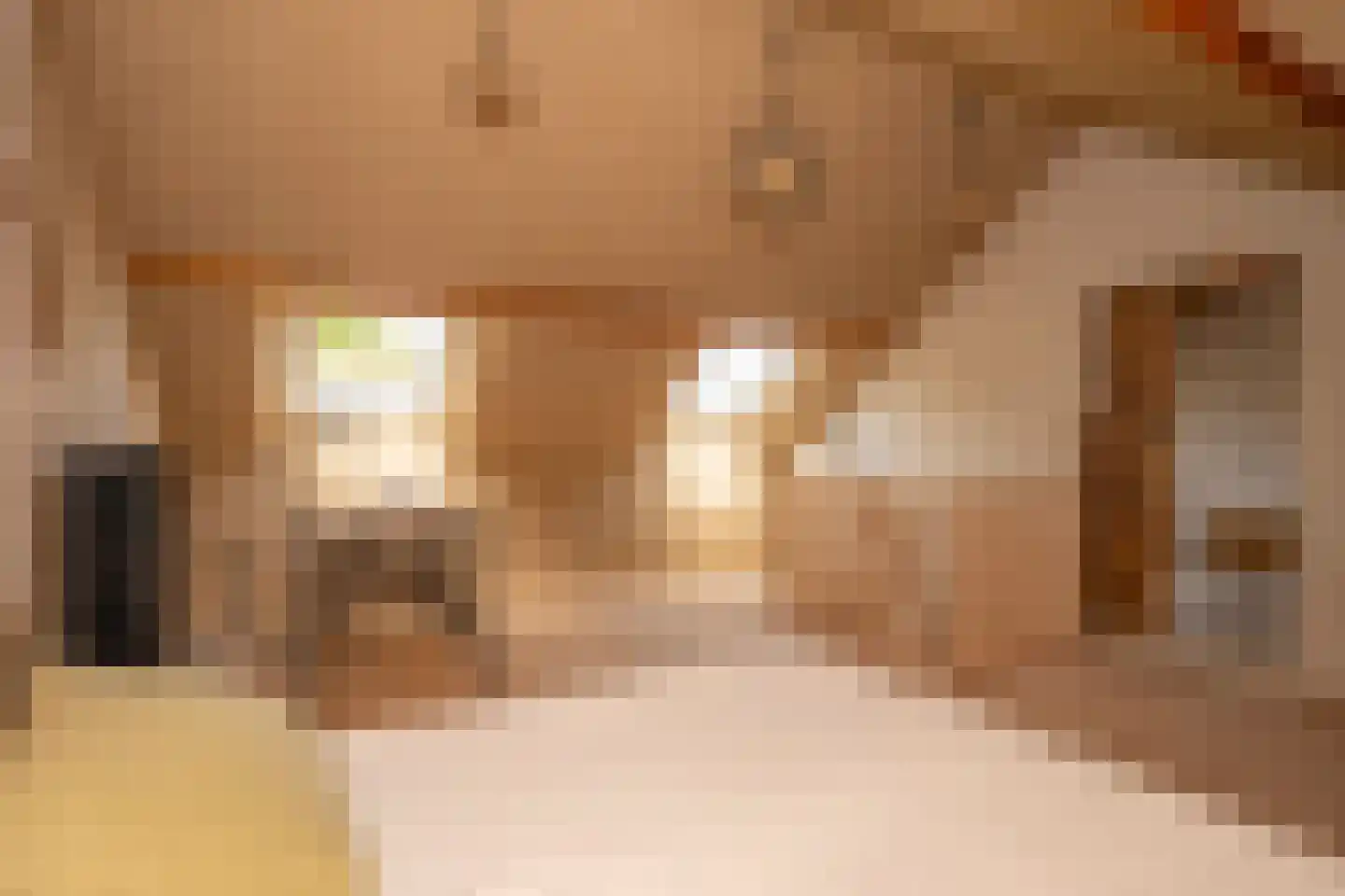 Staai 33 Grevenbicht thumbnail 27