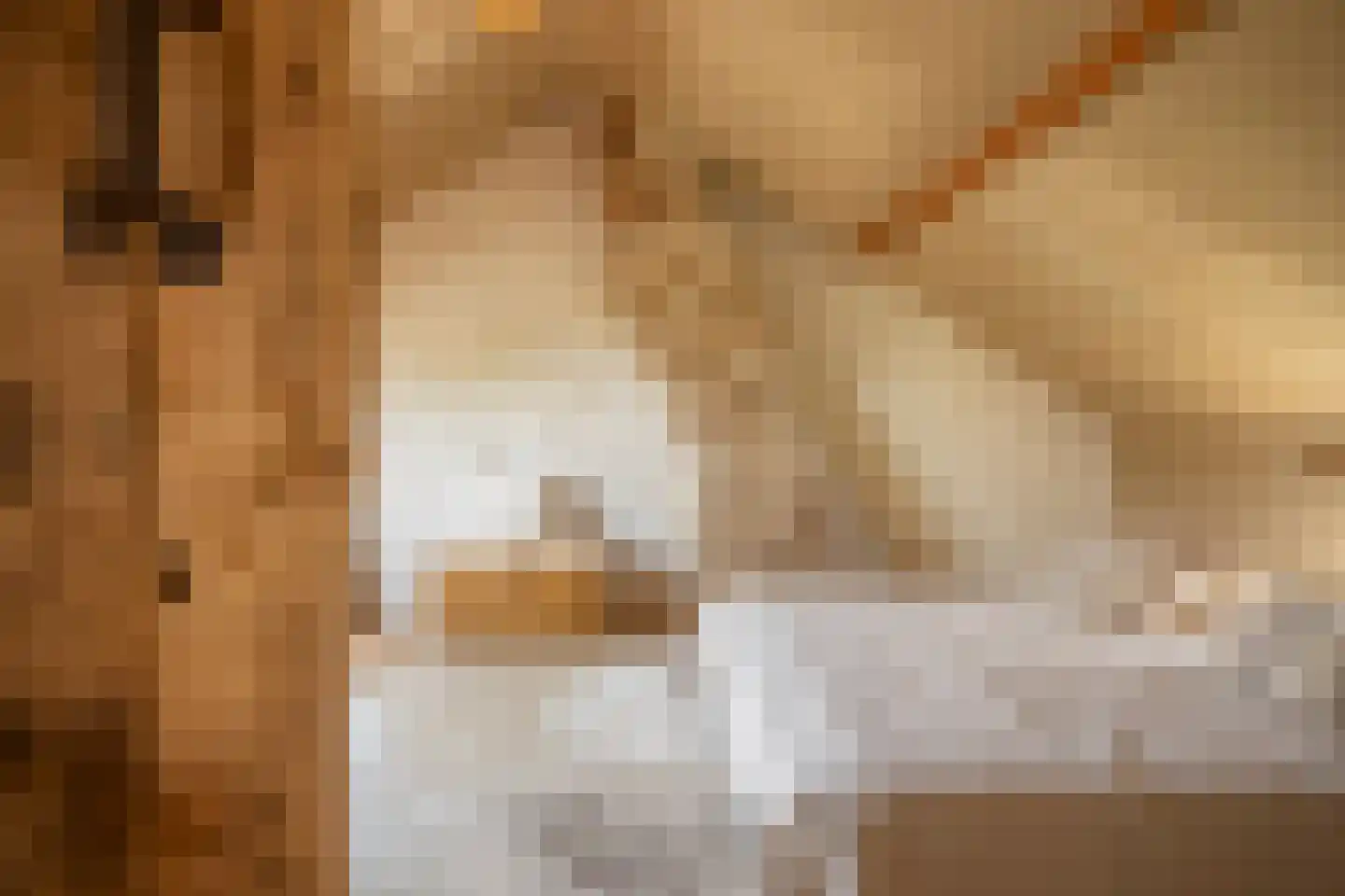 Staai 33 Grevenbicht thumbnail 30