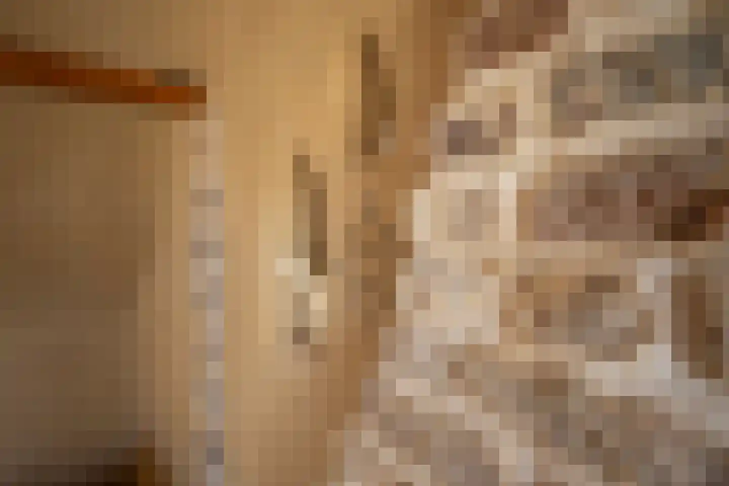 Staai 33 Grevenbicht thumbnail 31