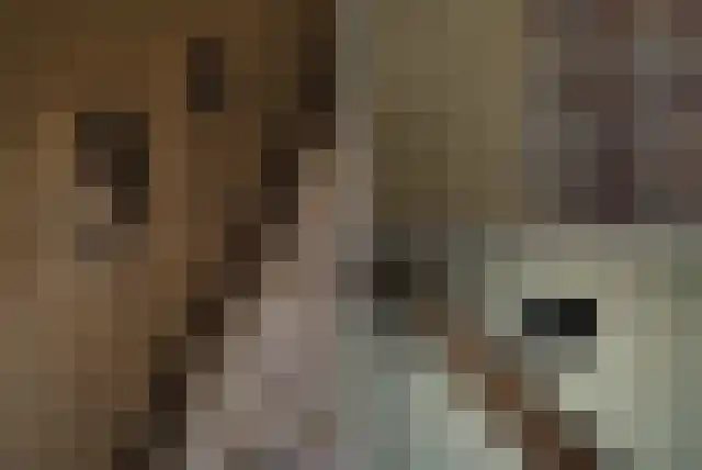 Staai 33 Grevenbicht thumbnail 32