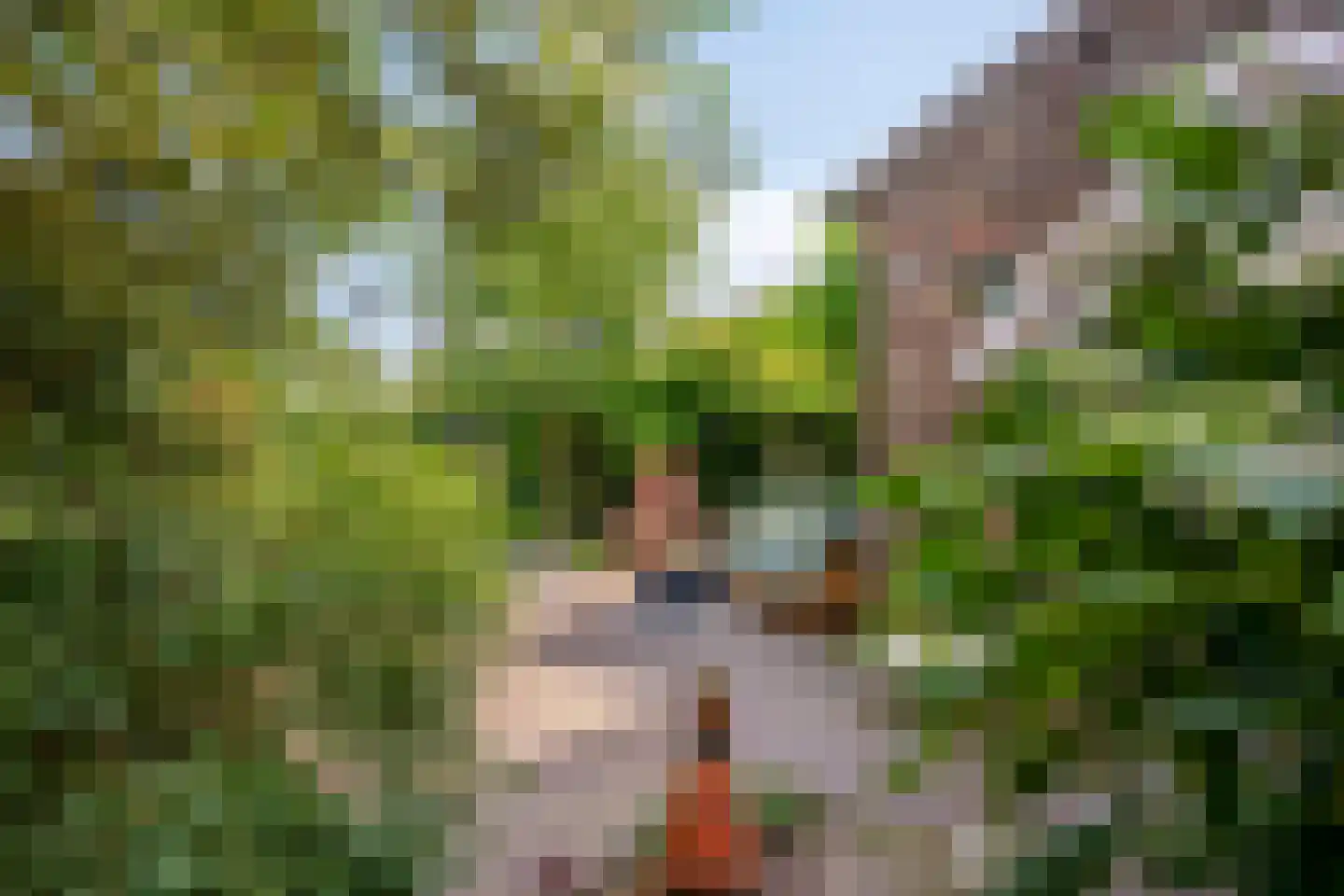 Staai 33 Grevenbicht thumbnail 34