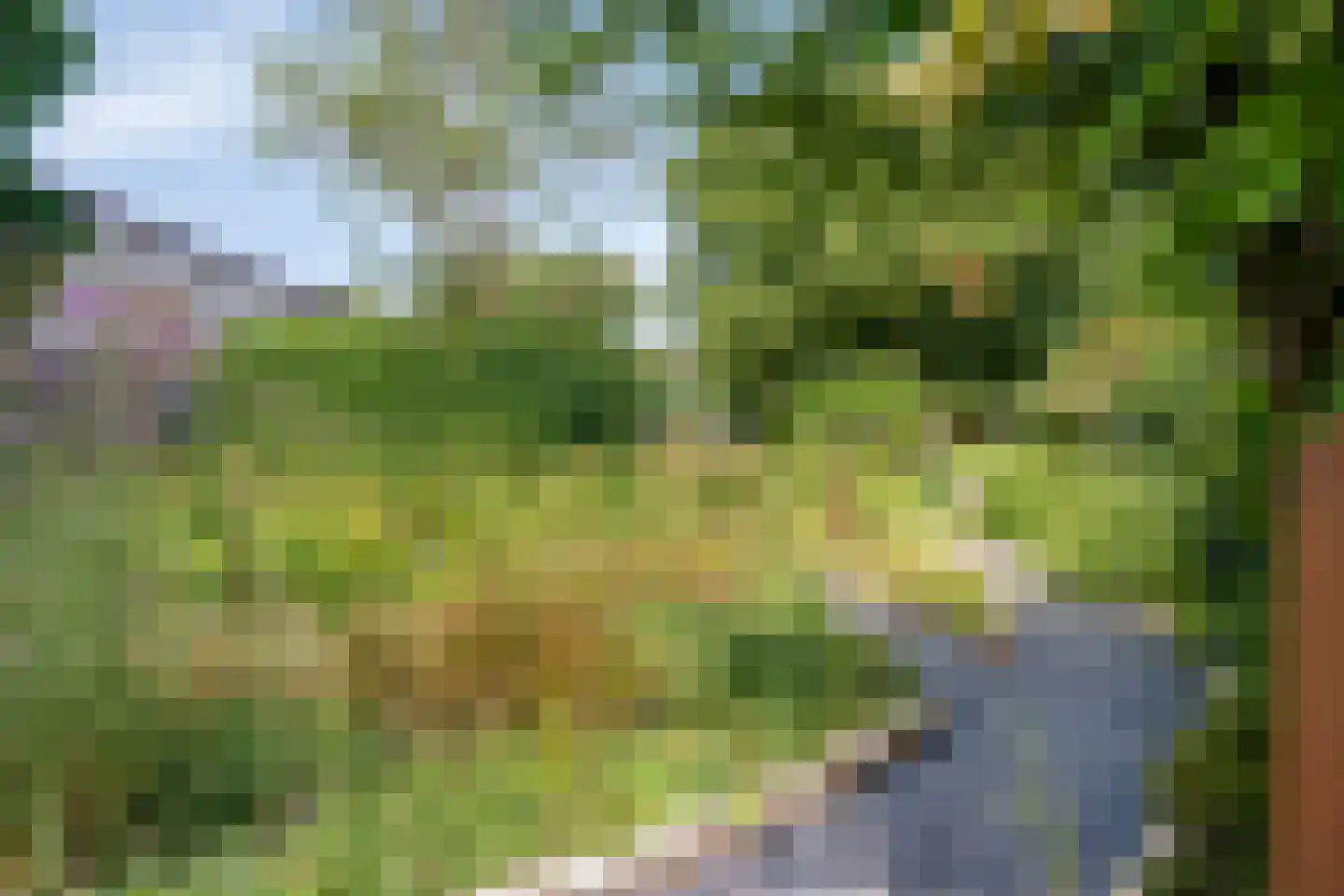 Staai 33 Grevenbicht thumbnail 36