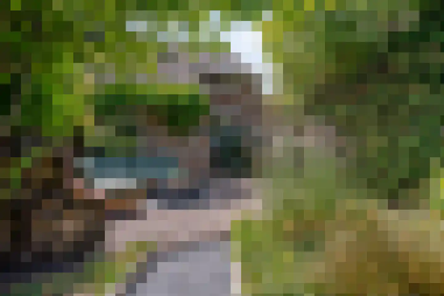 Staai 33 Grevenbicht thumbnail 38