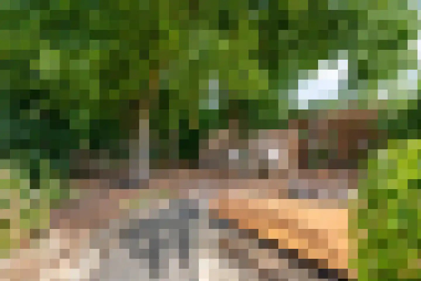 Staai 33 Grevenbicht thumbnail 39