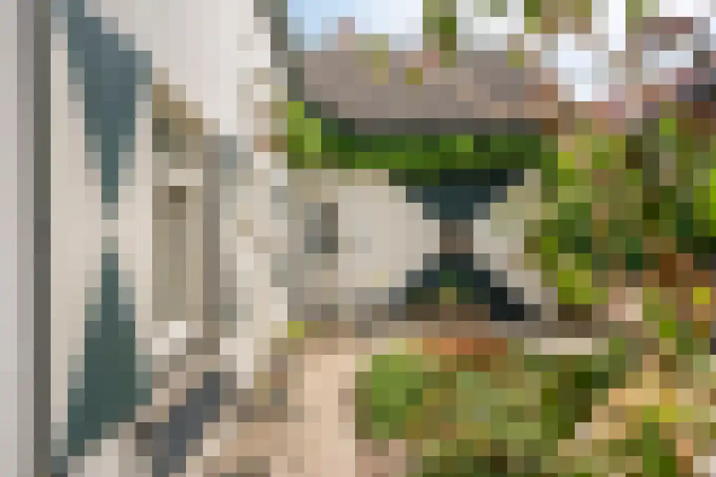 Staai 33 Grevenbicht thumbnail 4