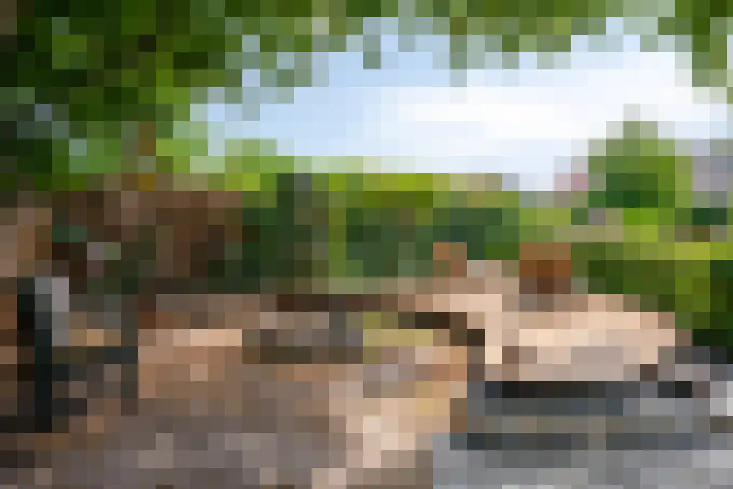 Staai 33 Grevenbicht thumbnail 40