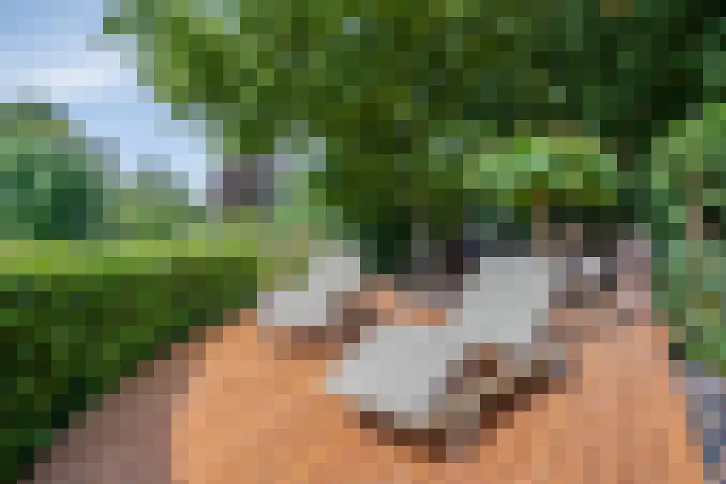 Staai 33 Grevenbicht thumbnail 41