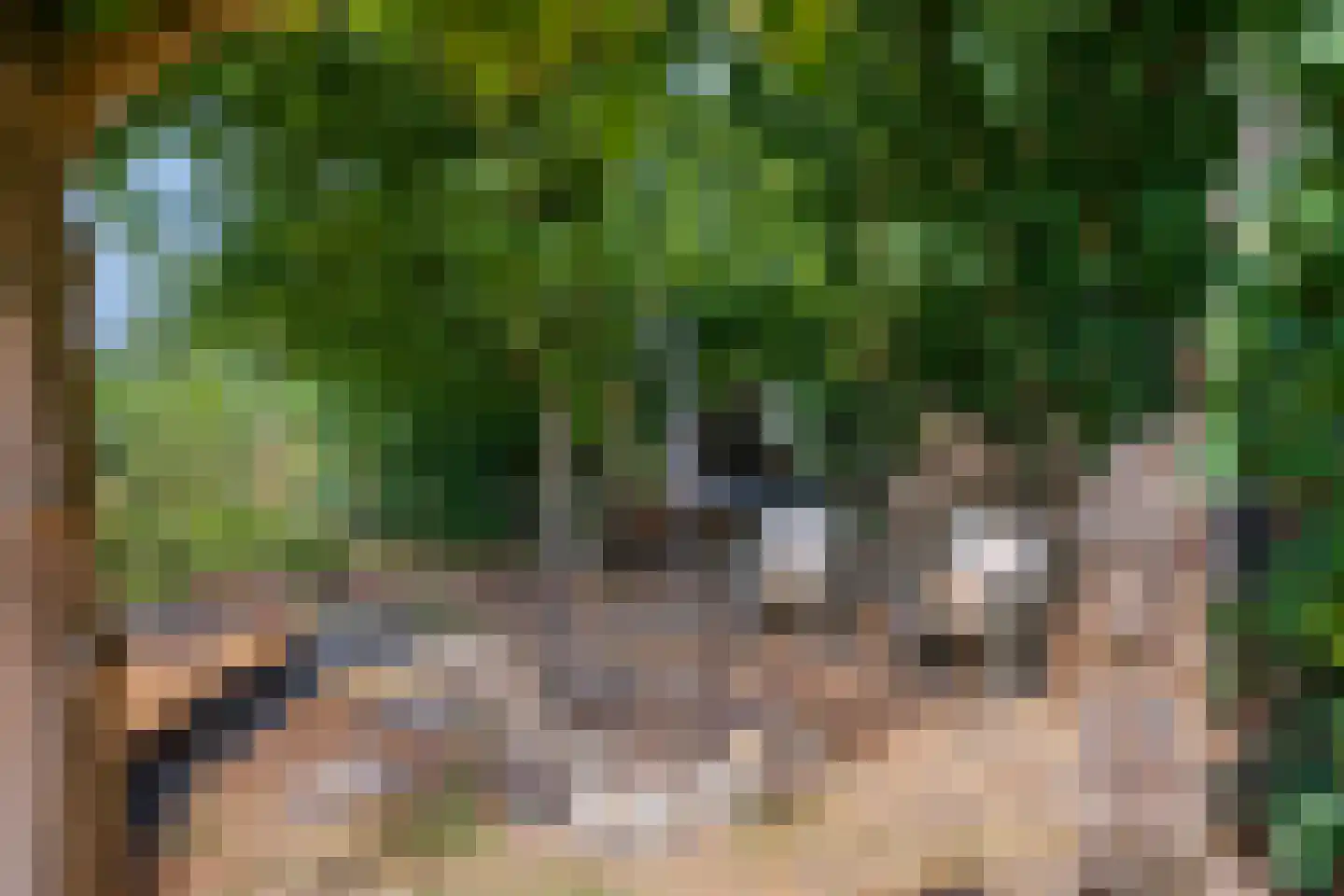 Staai 33 Grevenbicht thumbnail 42