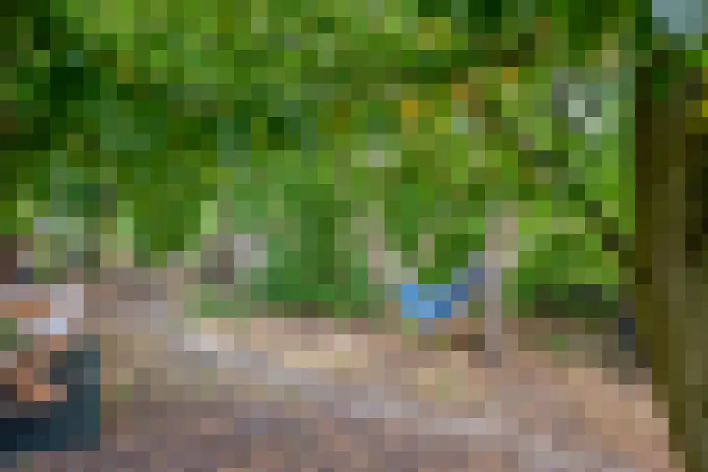 Staai 33 Grevenbicht thumbnail 43