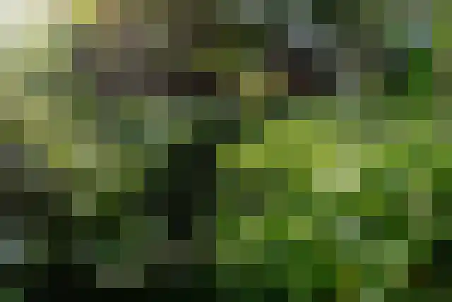 Staai 33 Grevenbicht thumbnail 44