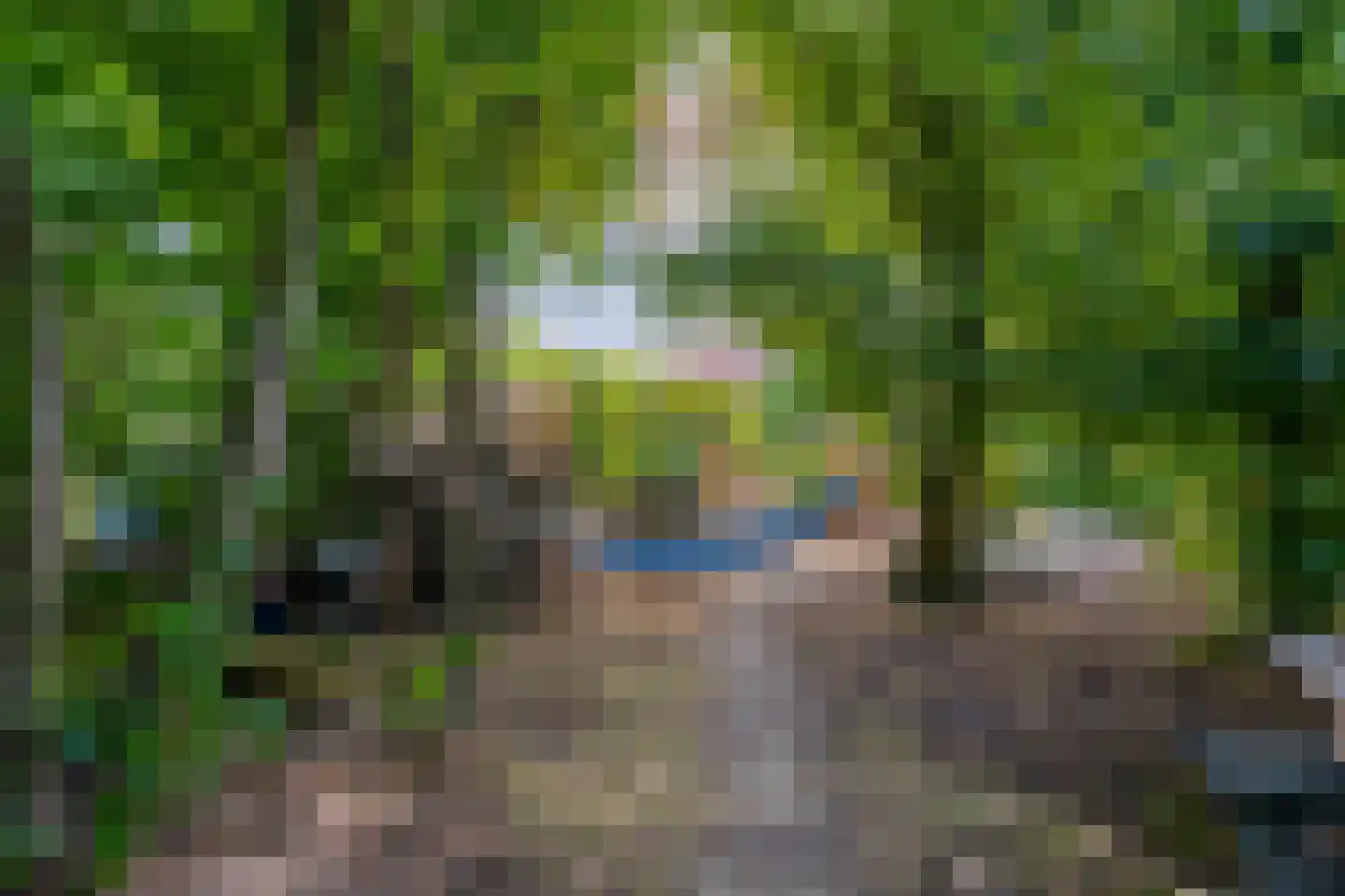 Staai 33 Grevenbicht thumbnail 45