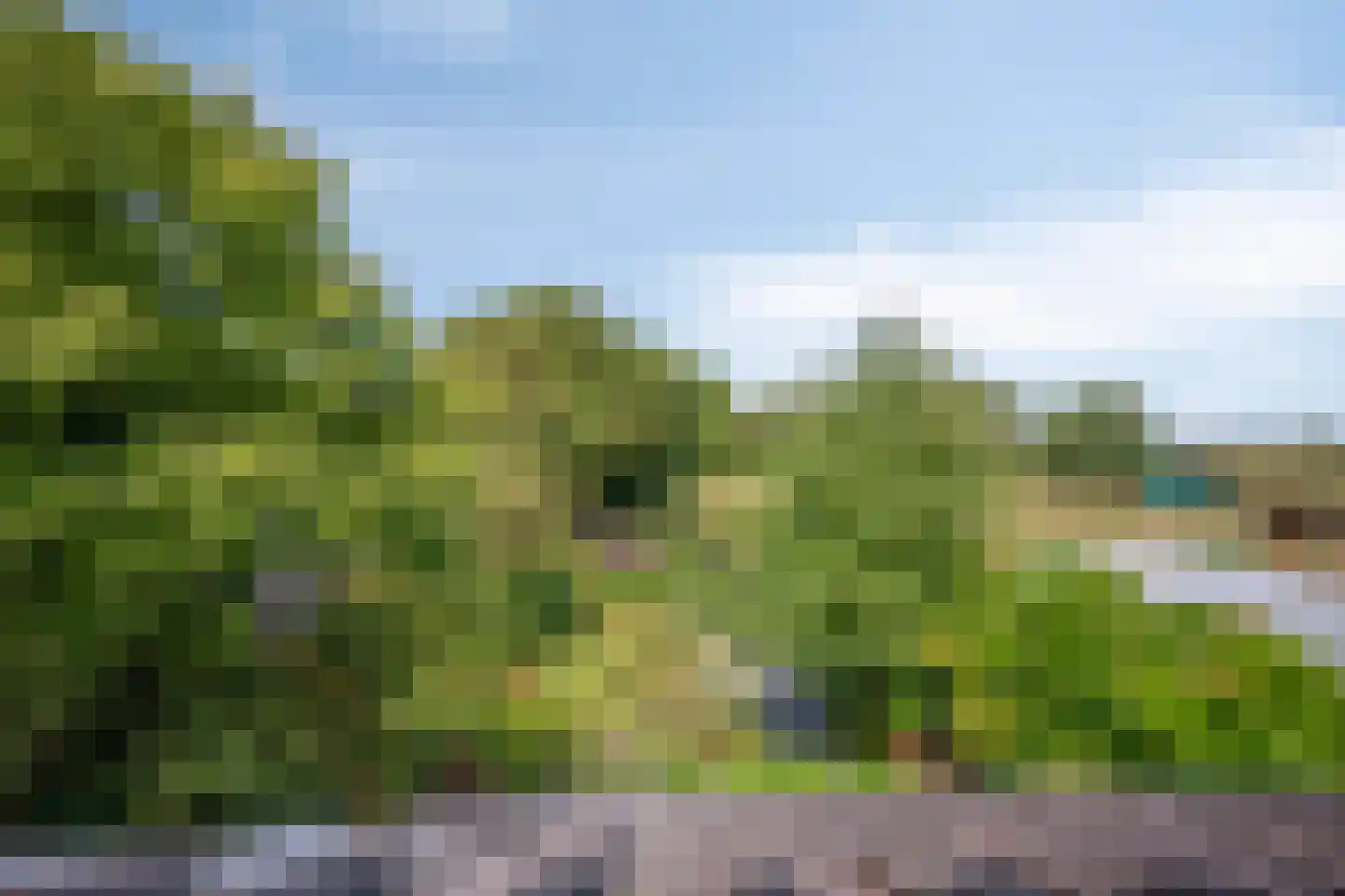 Staai 33 Grevenbicht thumbnail 46