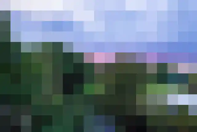 Staai 33 Grevenbicht thumbnail 47