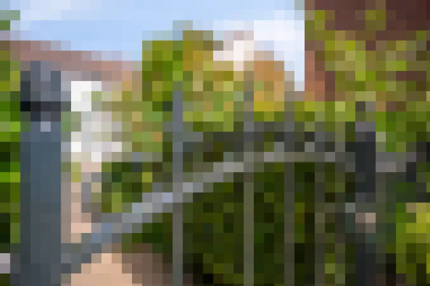 Staai 33 Grevenbicht thumbnail 50