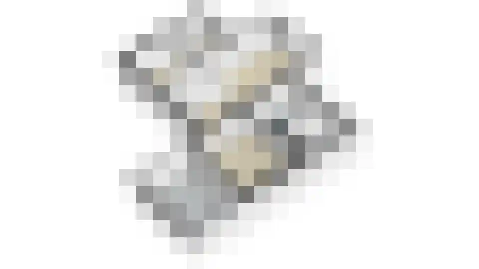 Staai 33 Grevenbicht thumbnail 57