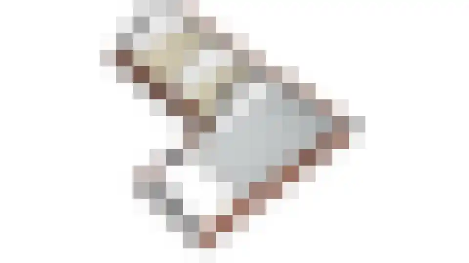 Staai 33 Grevenbicht thumbnail 58