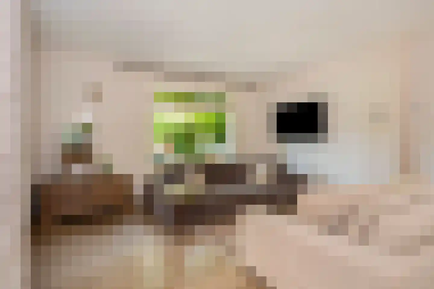 Staai 33 Grevenbicht thumbnail 7