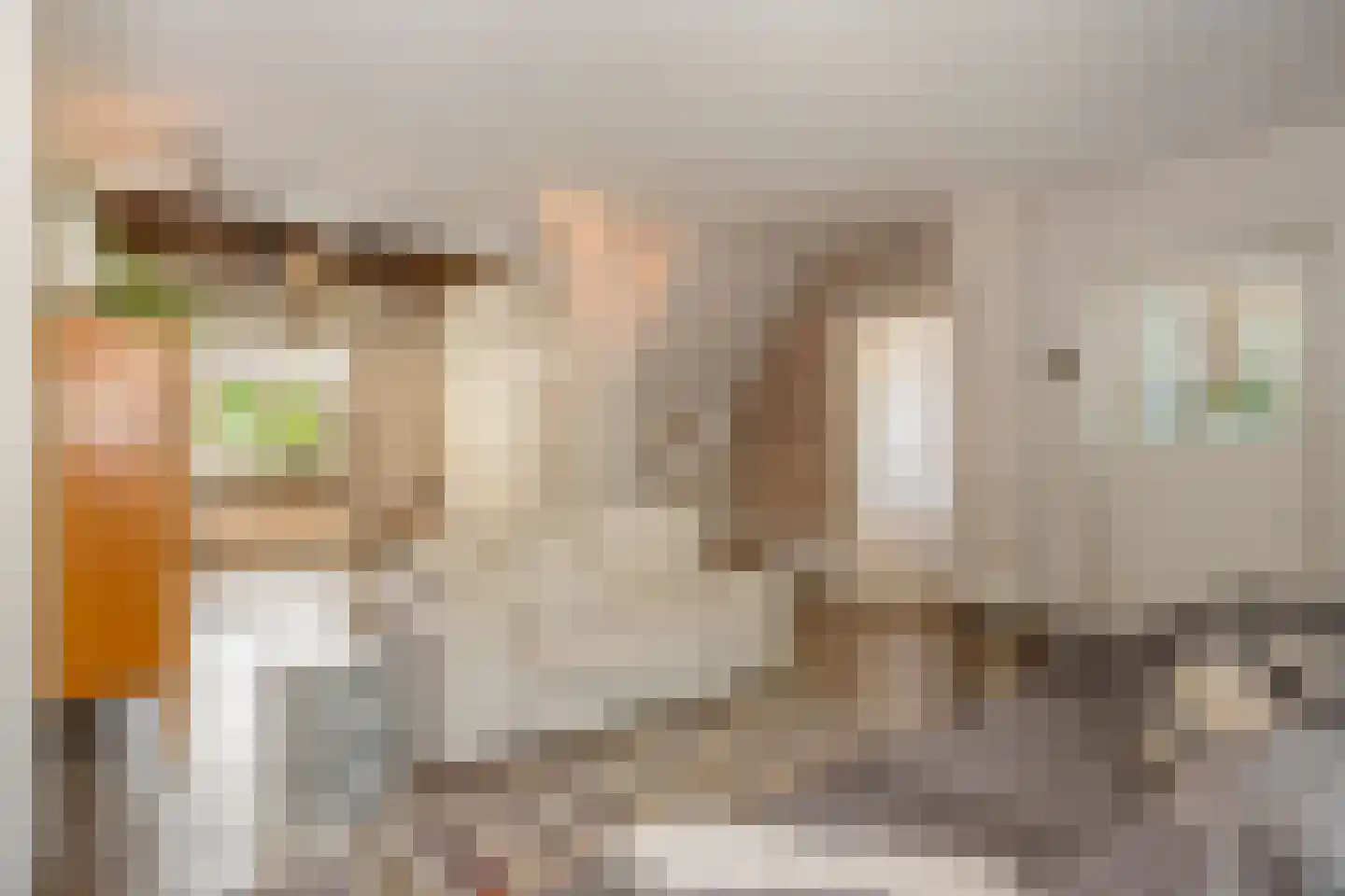 Staai 33 Grevenbicht thumbnail 9