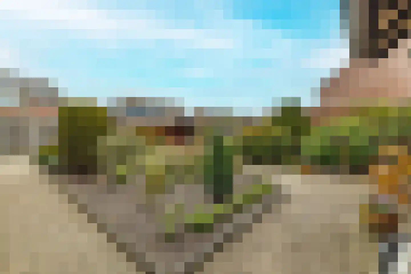 Staai-akker 13 Galder thumbnail 5