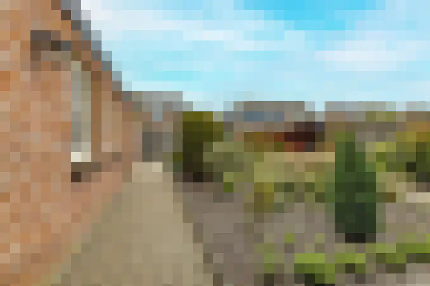 Staai-akker 13 Galder thumbnail 50