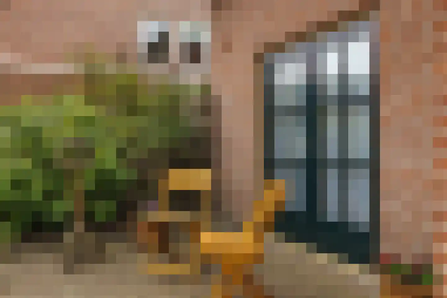 Staai-akker 13 Galder thumbnail 53