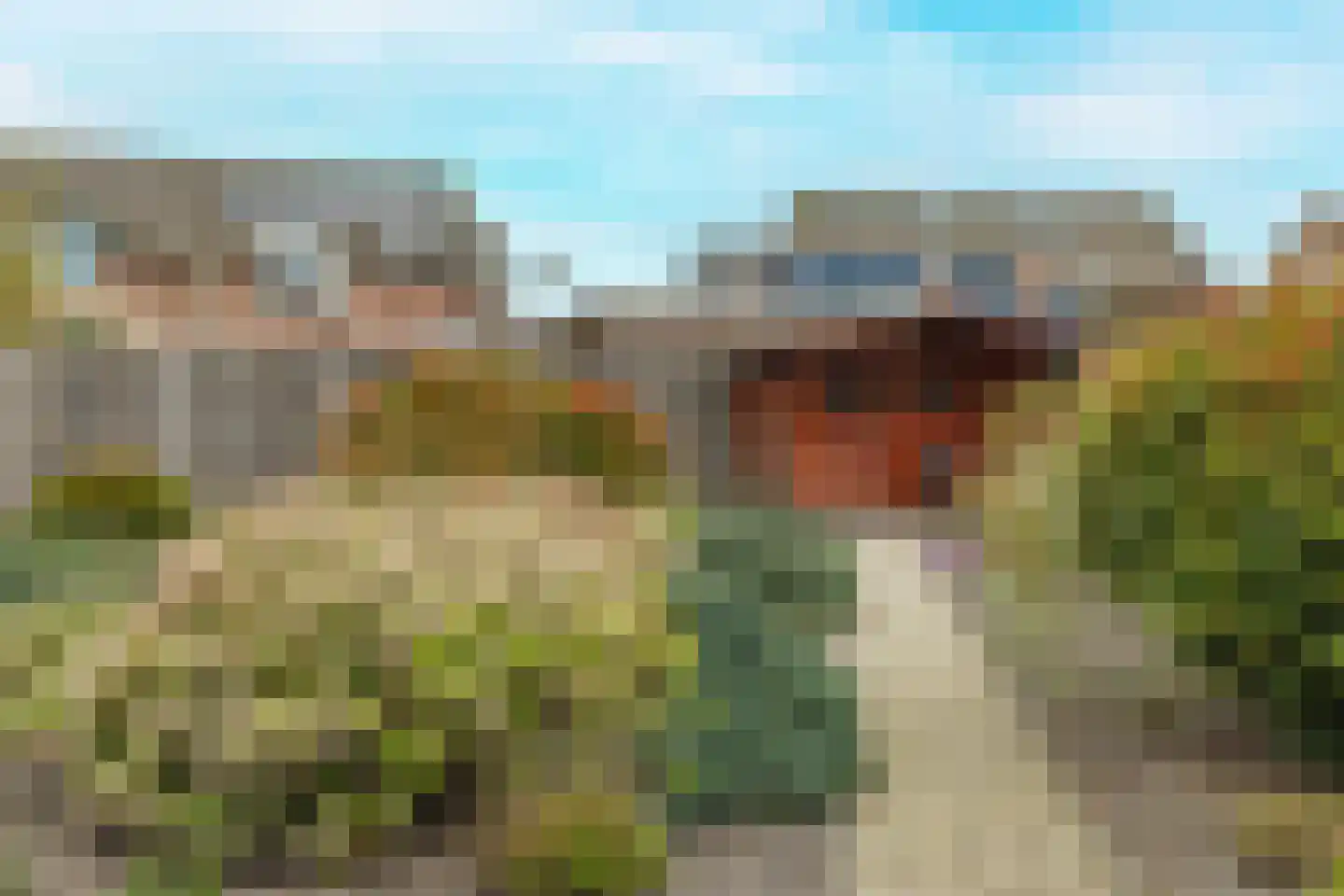 Staai-akker 13 Galder thumbnail 55