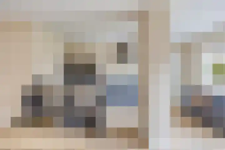Staai-akker 15 Galder thumbnail 11