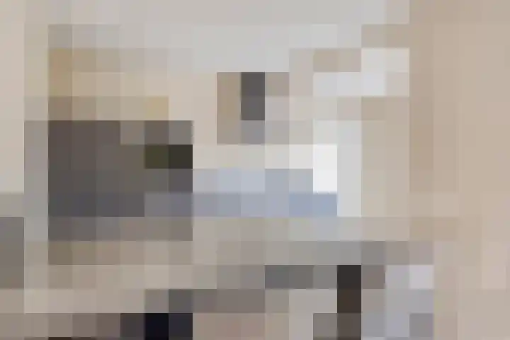 Staai-akker 15 Galder thumbnail 12
