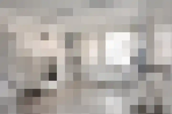 Staai-akker 15 Galder thumbnail 21