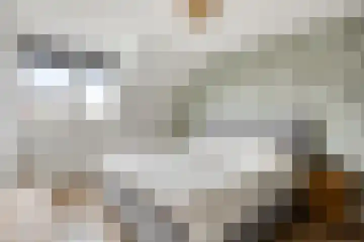 Staai-akker 15 Galder thumbnail 22