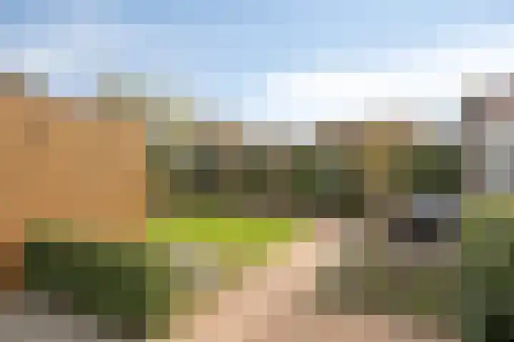 Staai-akker 15 Galder thumbnail 39