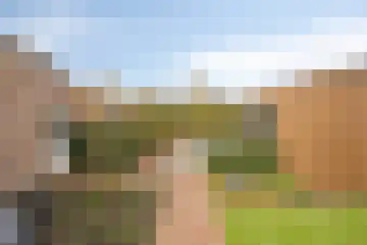 Staai-akker 15 Galder thumbnail 40