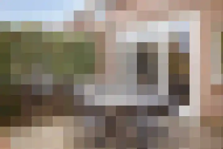 Staai-akker 15 Galder thumbnail 42