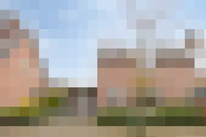 Staai-akker 15 Galder thumbnail 44