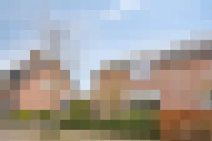 Staai-akker 15 Galder thumbnail 45