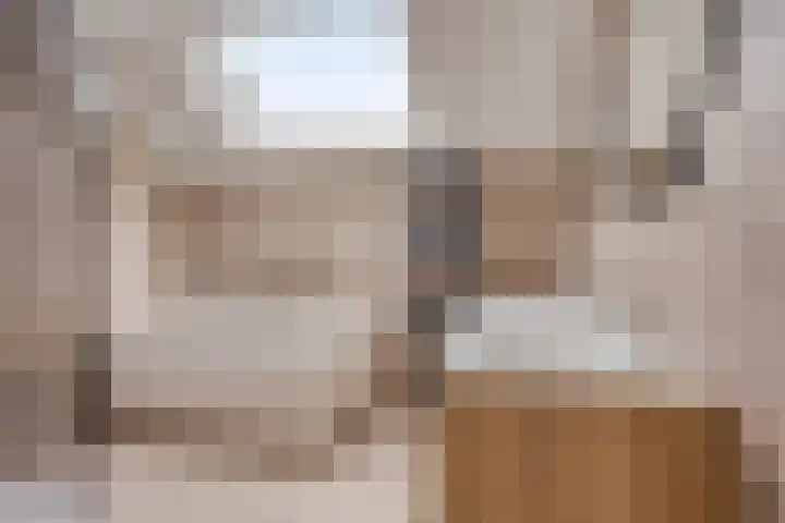 Staai-akker 15 Galder thumbnail 5