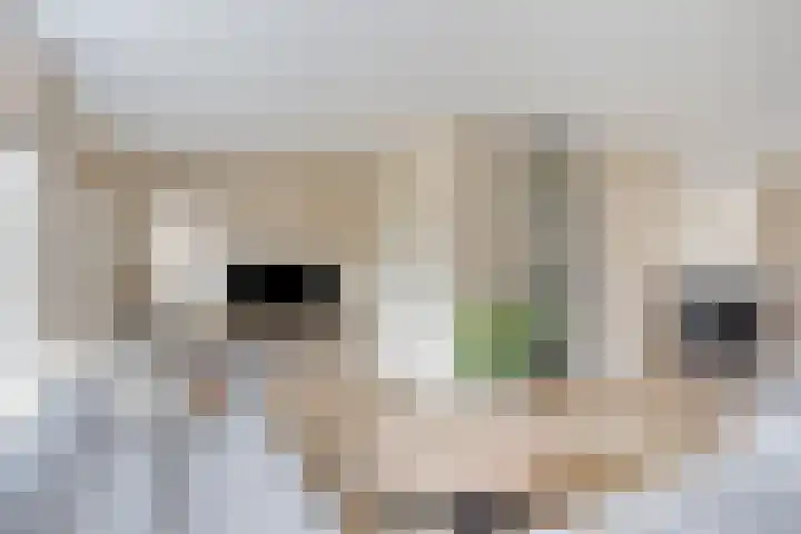 Staai-akker 15 Galder thumbnail 8