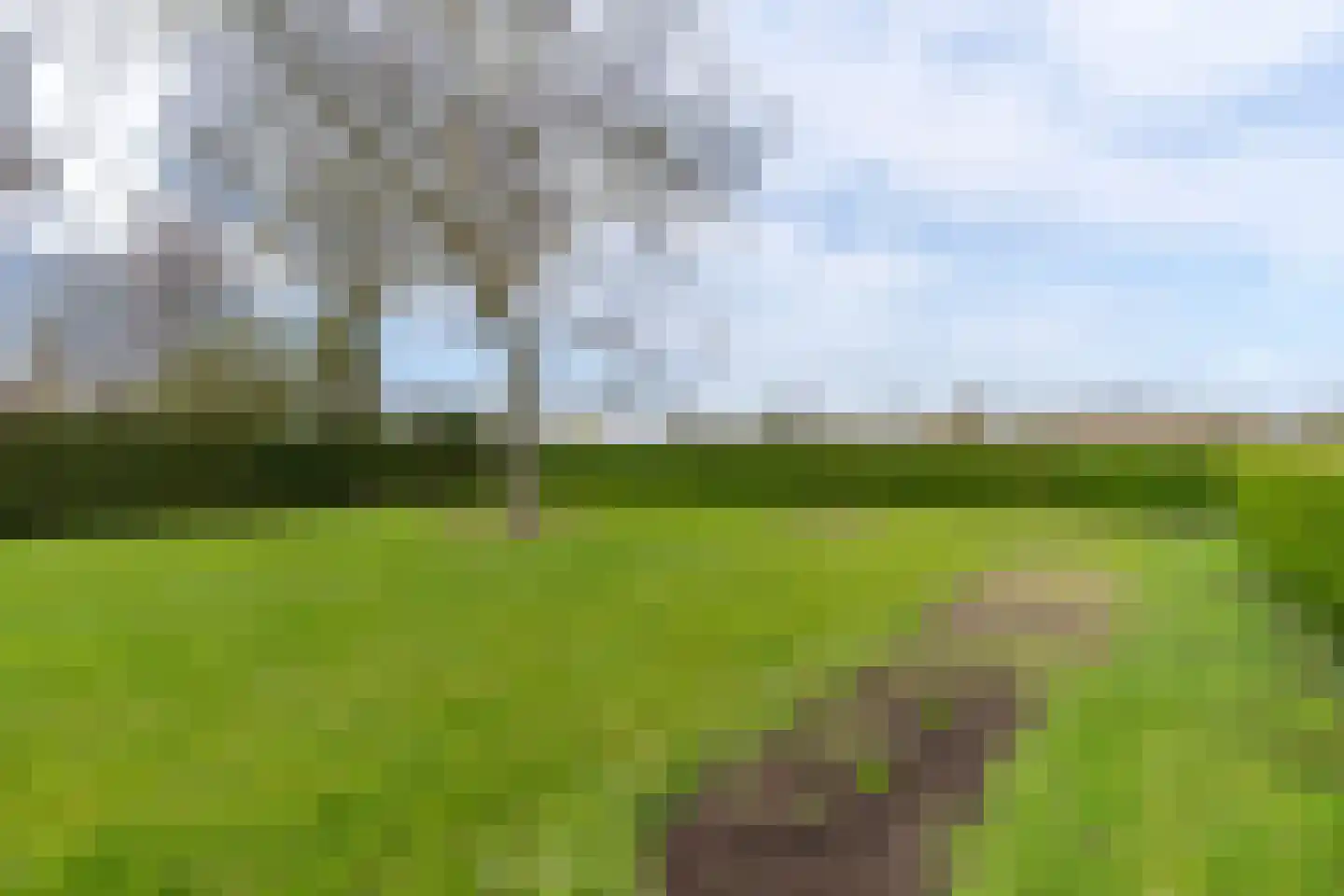 Staaiweg 13 Vierlingsbeek thumbnail 18